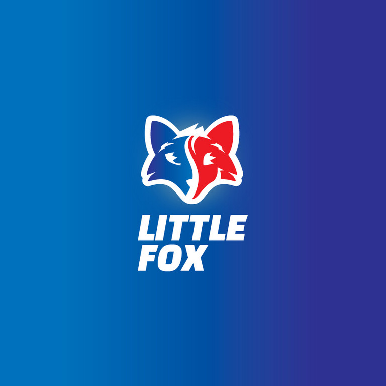 Little Fox Race